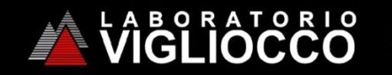 logo-lab-vigliocco